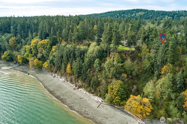 a view of a garden with trees