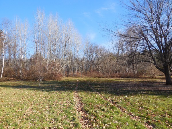 27 Upper Palmer Road Monson, MA 01057 - Photo 24 of 25 a view of a yard