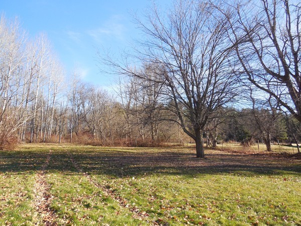 27 Upper Palmer Road Monson, MA 01057 - Photo 6 of 25 a view of backyard of water fountain and trees