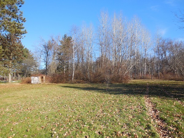 27 Upper Palmer Road Monson, MA 01057 - Photo 7 of 25 a view of a yard with an trees