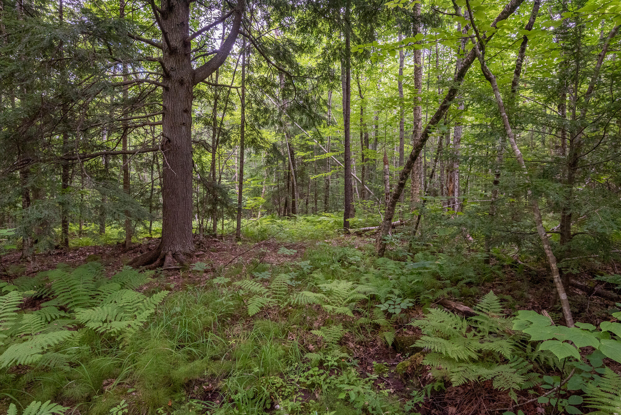 0 Barnestown Road Hope, ME 04847 - Photo 22 of 26 00 Barnestown Road MLS- Hang Your Hat Ph