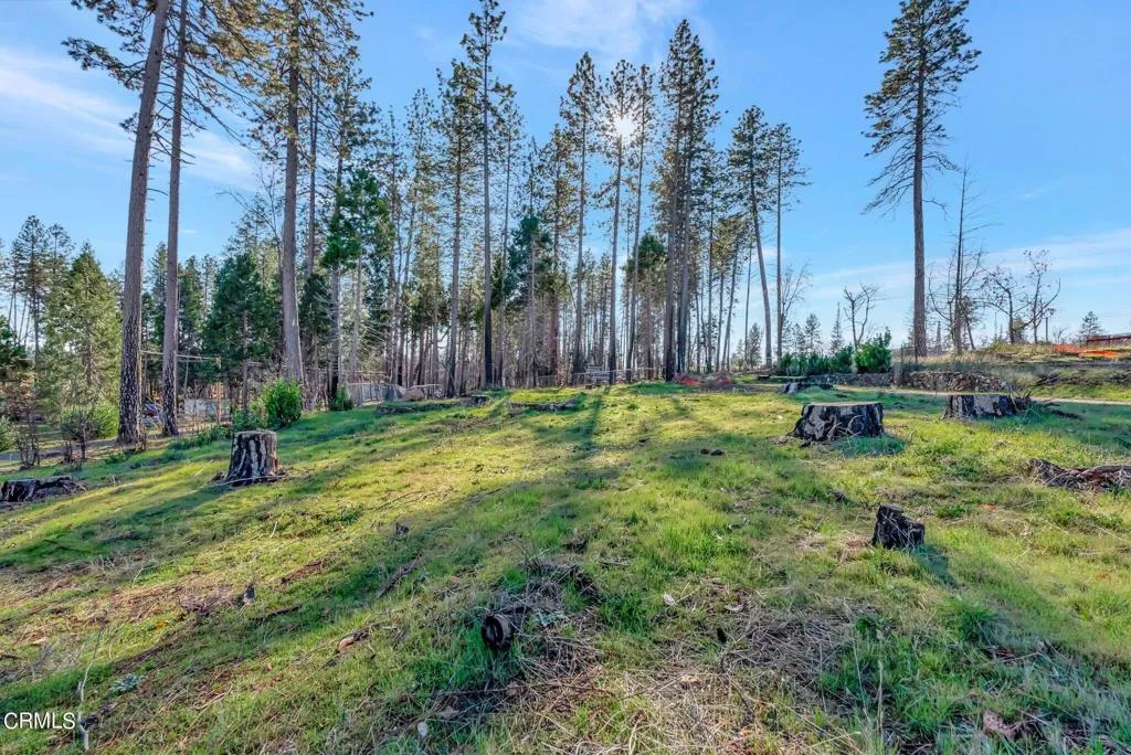 1584 Wagstaff Road Paradise, CA 95969 - Photo 15 of 33 a garden with trees
