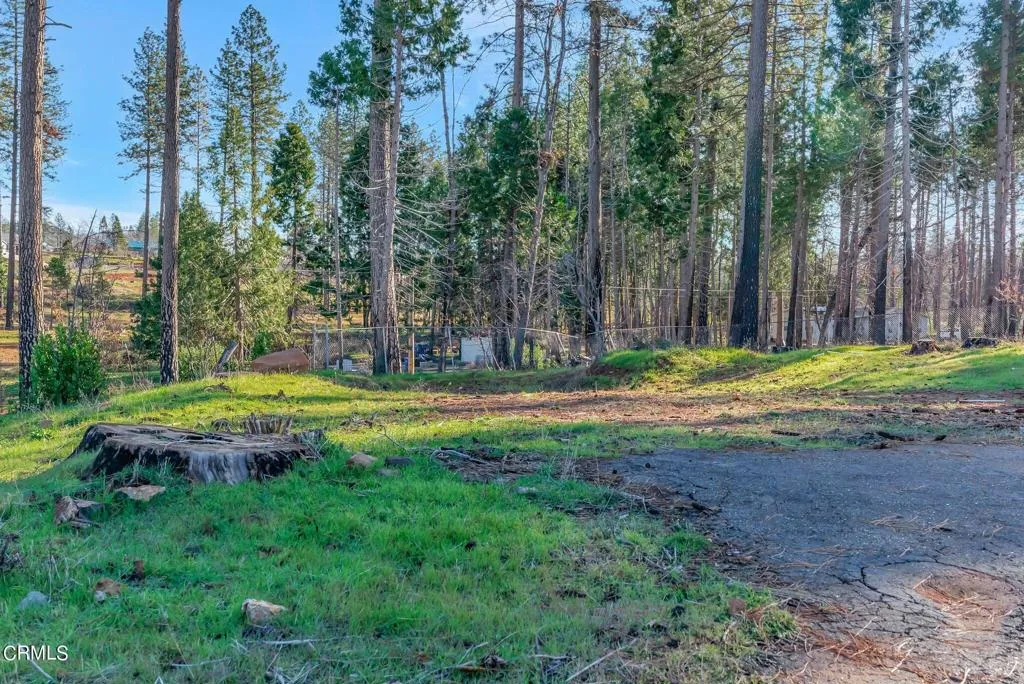 1584 Wagstaff Road Paradise, CA 95969 - Photo 16 of 33 a view of a swimming pool with a yard and large trees