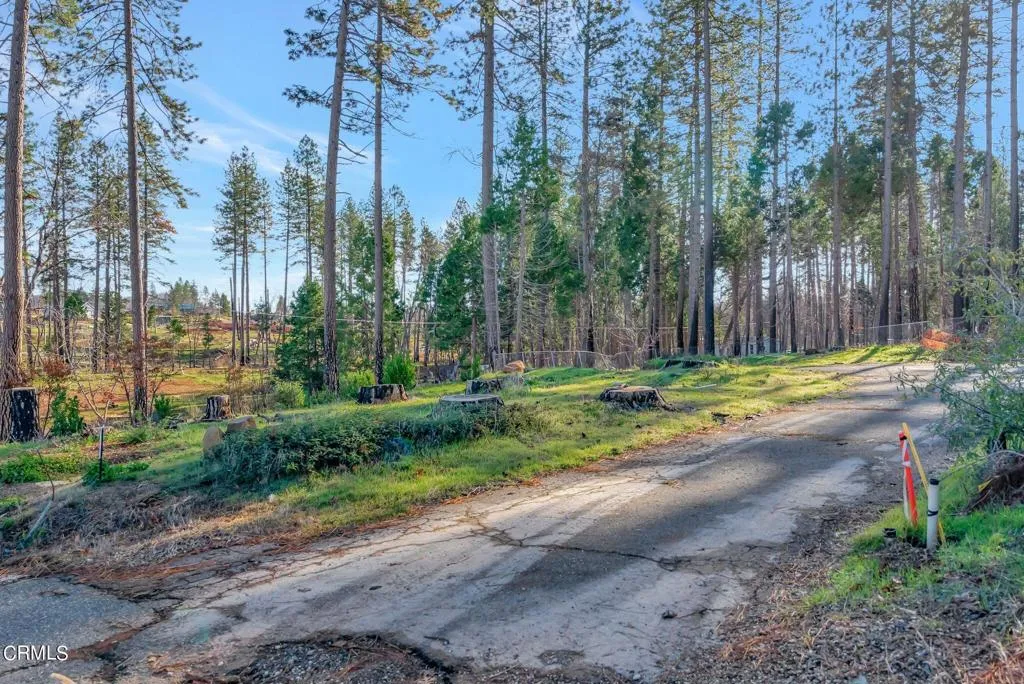1584 Wagstaff Road Paradise, CA 95969 - Photo 4 of 33 a view of a park with large trees
