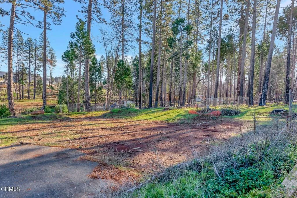 1584 Wagstaff Road Paradise, CA 95969 - Photo 7 of 33 a view of a house with a yard and tree s