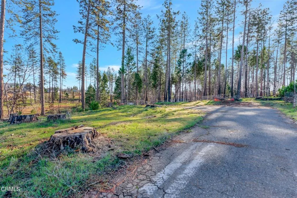 1584 Wagstaff Road Paradise, CA 95969 - Photo 8 of 33 a view of a park with large trees
