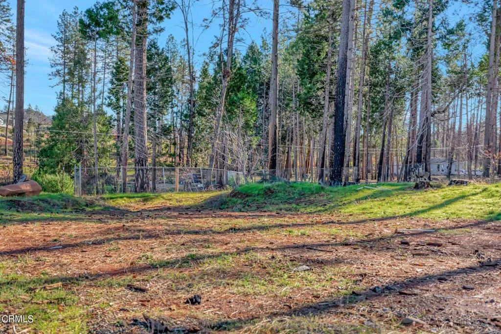 1584 Wagstaff Road Paradise, CA 95969 - Photo 9 of 33 a view of a backyard with palm trees