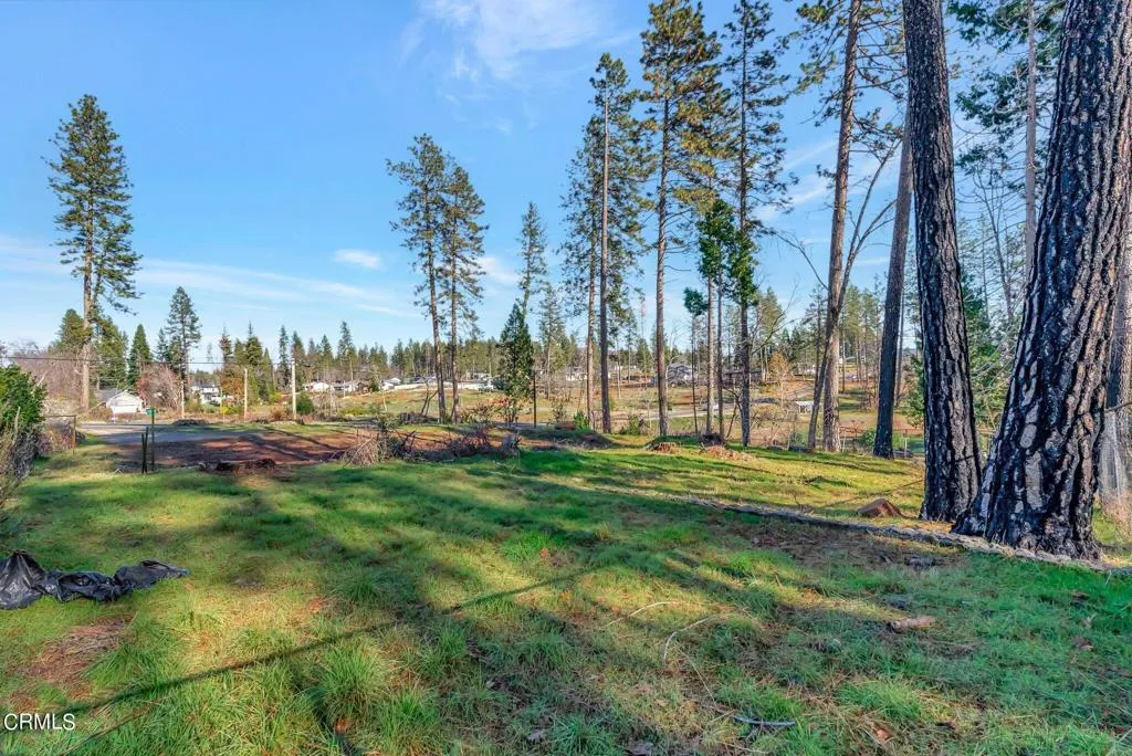 1584 Wagstaff Road Paradise, CA 95969 - Photo 10 of 33 a view of park with trees