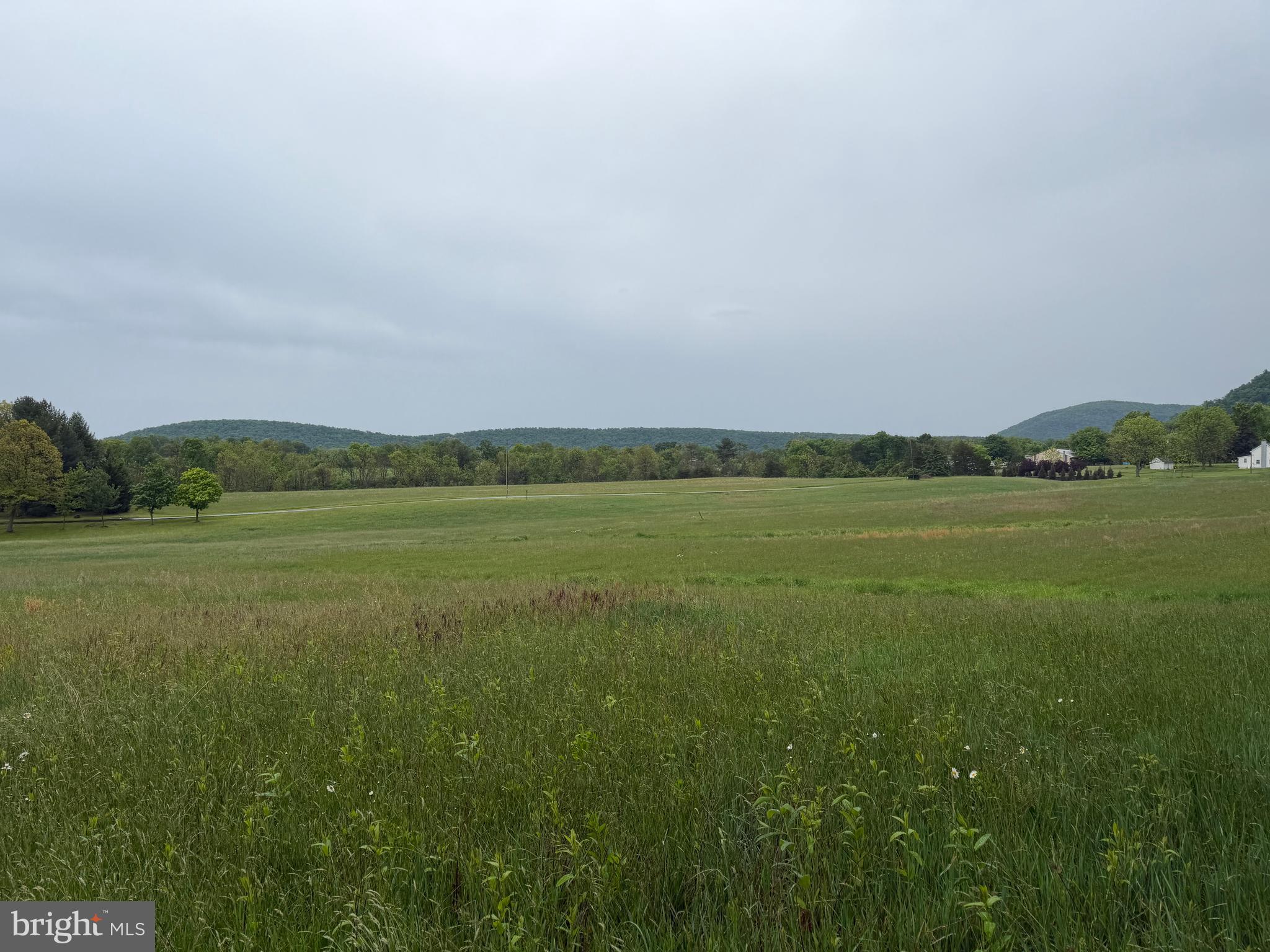 12591 Shimpstown Road Mercersburg, PA 17236 - Photo 51 of 147