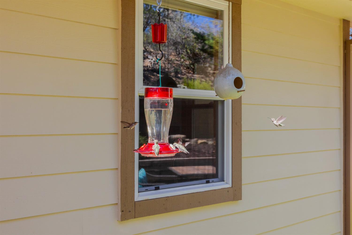 12423 Lowhills Road Nevada City, CA 95959 - Photo 54 of 63