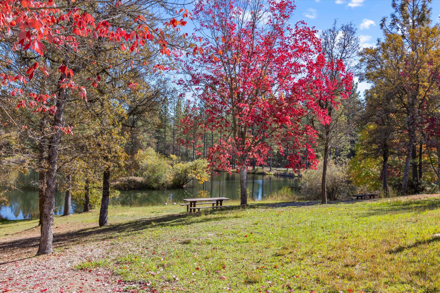12423 Lowhills Road Nevada City, CA 95959 - Photo 57 of 63