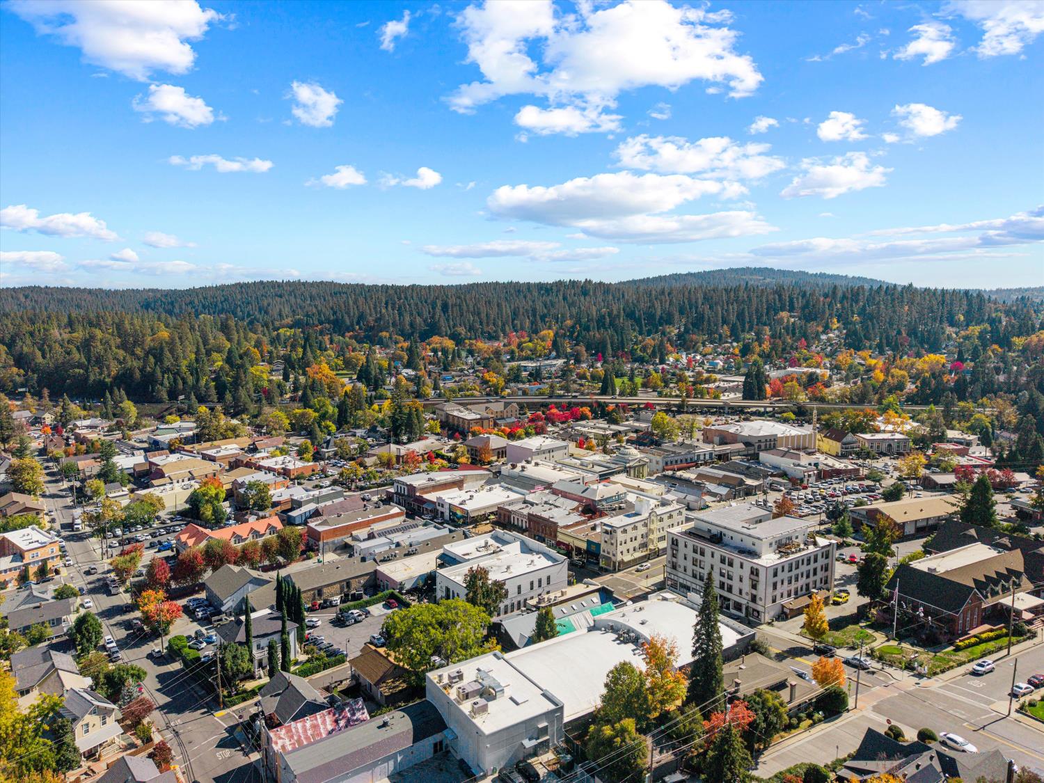 12423 Lowhills Road Nevada City, CA 95959 - Photo 60 of 63