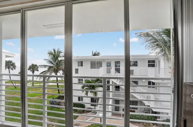 a view of a palm trees in a yard with swimming pool
