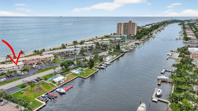 a view of a plant in a garden