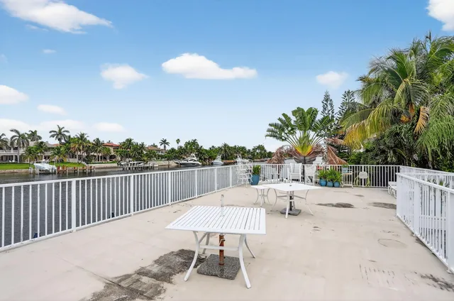 a view of three palm trees