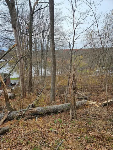 a view of a yard with large trees