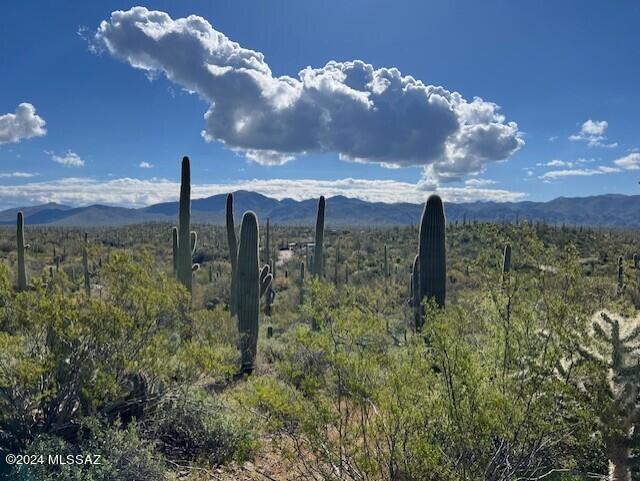 0 Jeffords Mine Road Marana, AZ 85658 - Photo 10 of 11