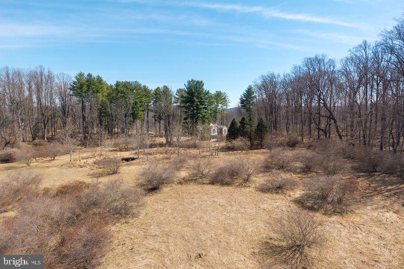 1004 Garrett Mill Road Newtown Square, PA 19073 - Photo 12 of 16 Serene landscape with hidden charm.