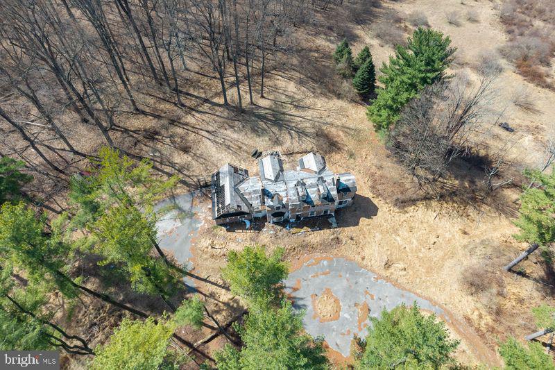 1004 Garrett Mill Road Newtown Square, PA 19073 - Photo 14 of 16 Abandoned home nestled in nature's embrace.