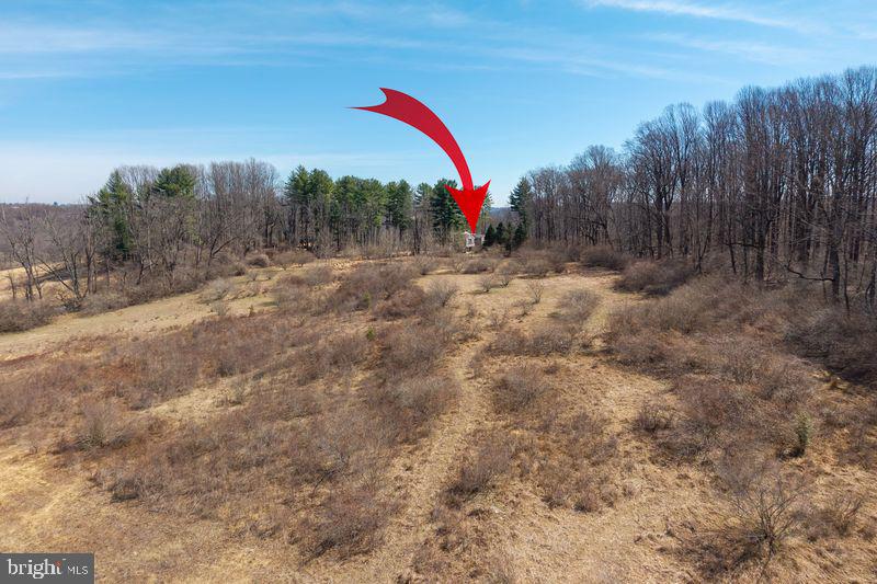 1004 Garrett Mill Road Newtown Square, PA 19073 - Photo 8 of 16 Serene landscape with hidden charm.