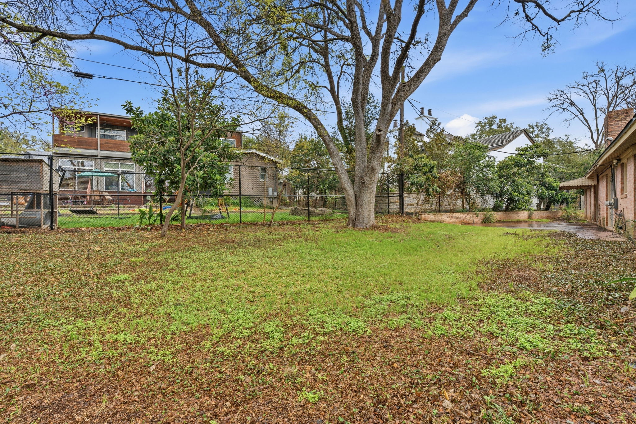 3400 Foothill Parkway Austin, TX 78731 - Photo 16 of 23 a tall tree in middle of green field in front of house