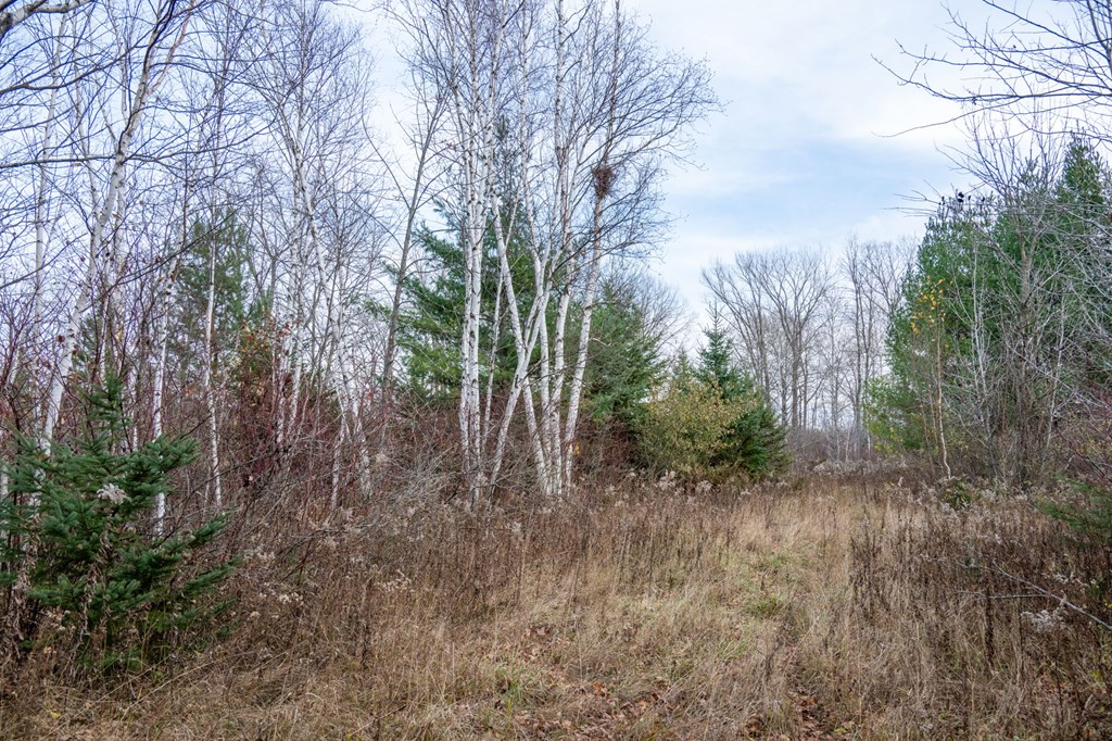 Tbd Djuplin Road Sturgeon Bay, WI 54235 - Photo 21 of 27 Gallery Image 21