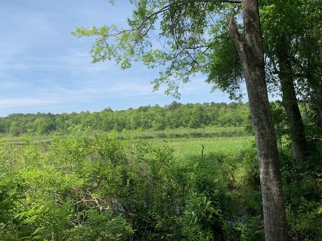 Gould Road Quincy, FL 32351 - Photo 2 of 12 Gallery Image 2