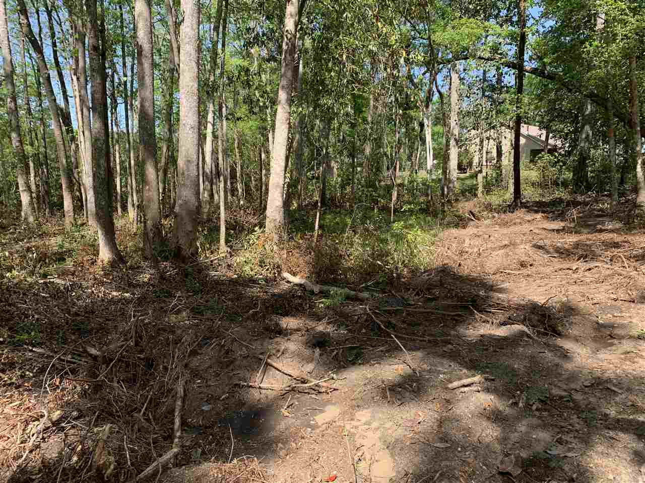 Gould Road Quincy, FL 32351 - Photo 3 of 12 Gallery Image 3