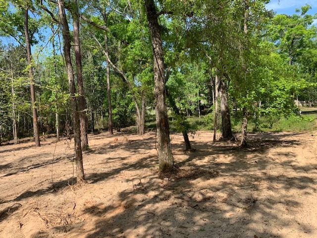 Gould Road Quincy, FL 32351 - Photo 4 of 12 Gallery Image 4