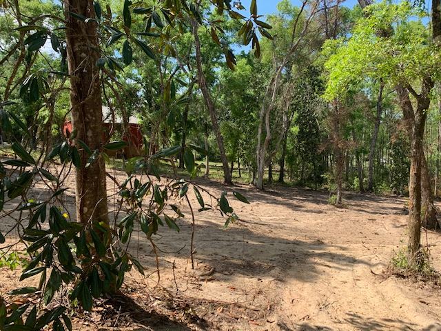 Gould Road Quincy, FL 32351 - Photo 5 of 12 Gallery Image 5