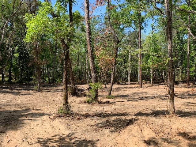 Gould Road Quincy, FL 32351 - Photo 6 of 12 Gallery Image 6