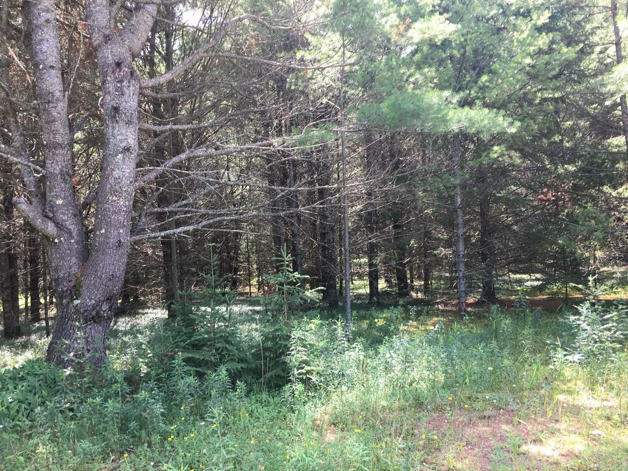Lot 9 Old 26 Road Conover, WI 54519 - Photo 18 of 19 Gallery Image 18