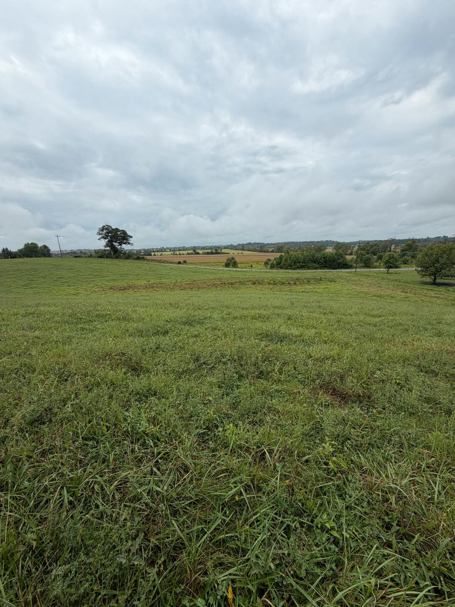 9999 Kiddville Road Winchester, KY 40391 - Photo 6 of 6 3