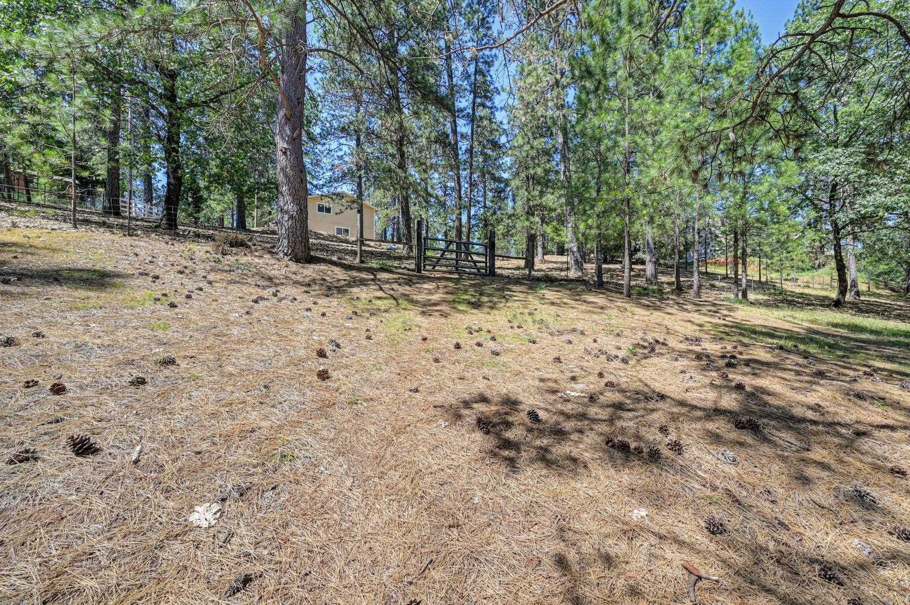 1205 Tokayana Ranch Lane Colfax, CA 95713 - Photo 24 of 28