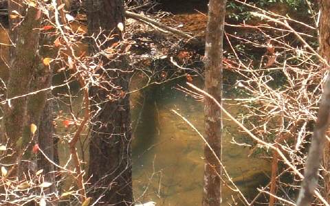 Lt128 Quail Run Road Talking Rock, GA 30175 - Photo 1 of 1