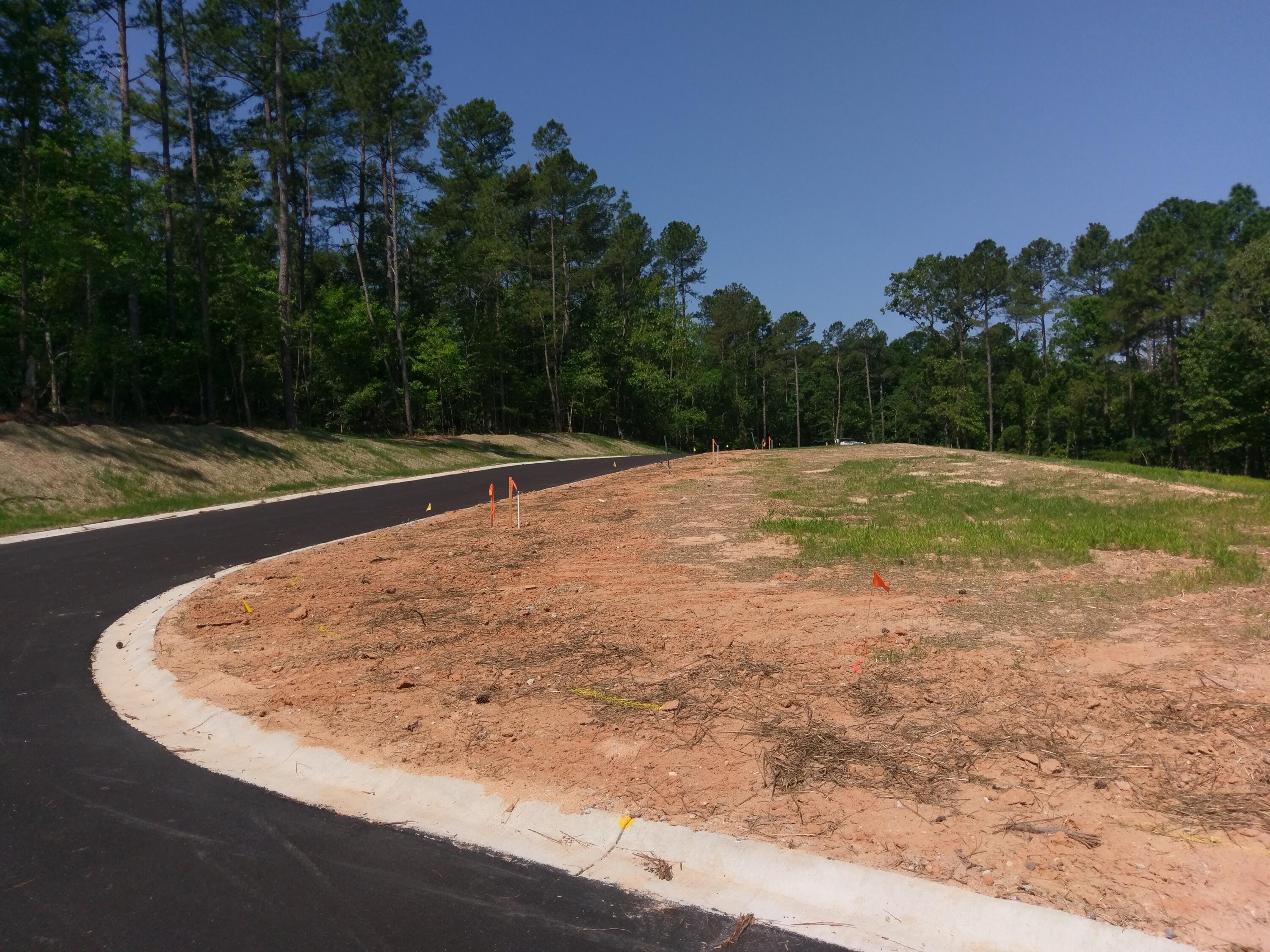 Lot 1 True Cedar Way Aiken, SC 29803 - Photo 2 of 3