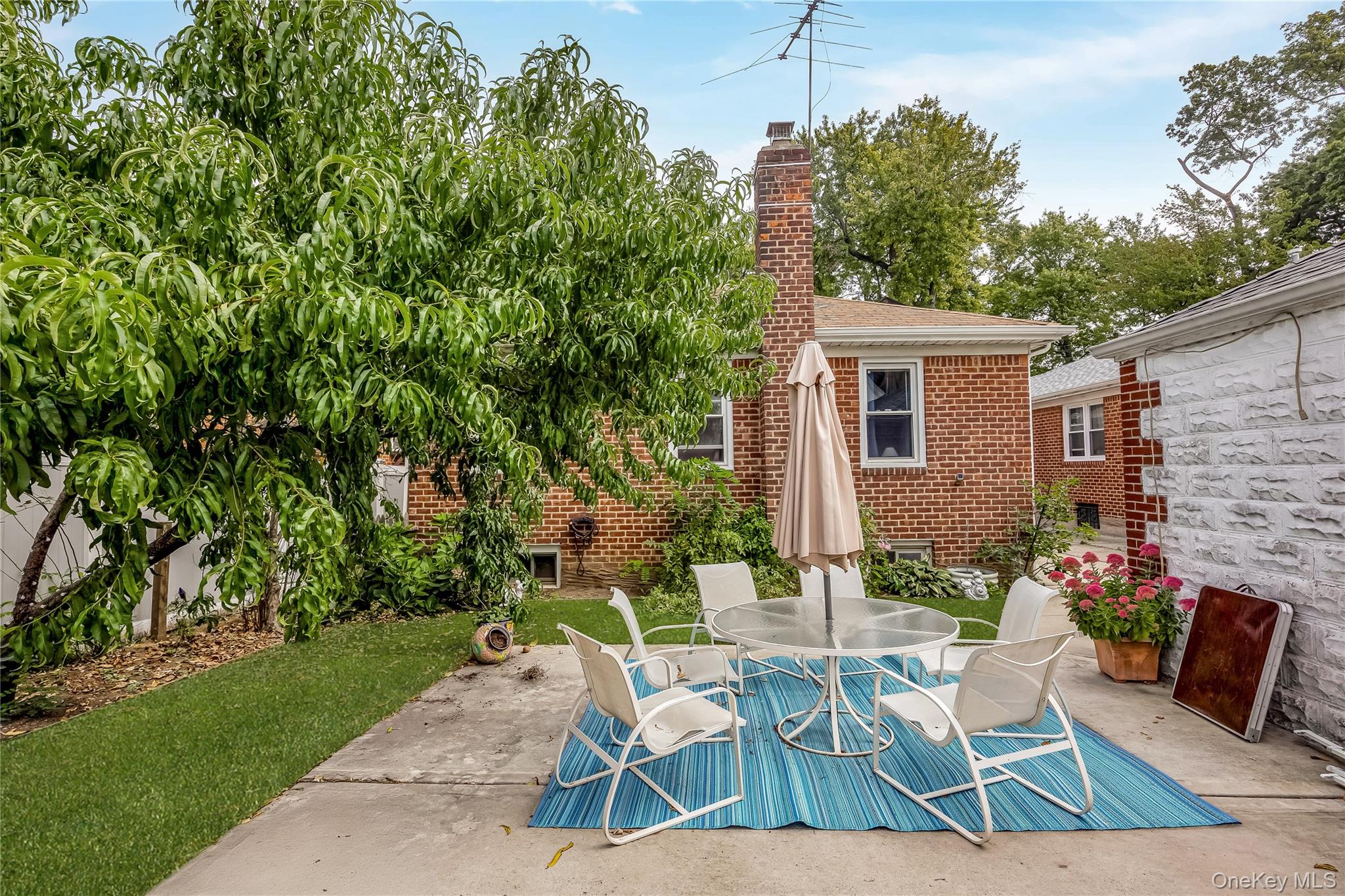 65-32 170th Street Queens, NY 11365 - Photo 21 of 24 a view of backyard with outdoor seating a patio and plants
