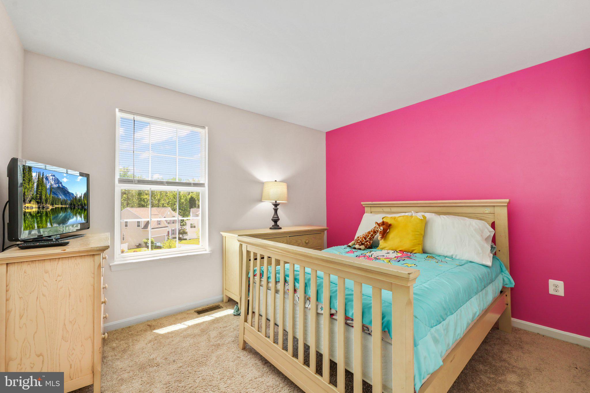 16183 Raptor Crest Lane Woodbridge, VA 22193 - Photo 25 of 51 Vibrant bedroom with playful accents.