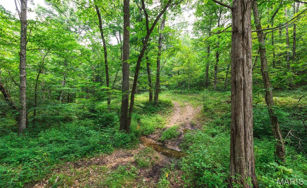 2 Cedar Ford Road Cook Sta, MO 65449 - Photo 22 of 49