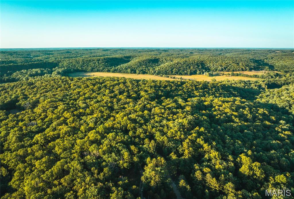 2 Cedar Ford Road Cook Sta, MO 65449 - Photo 25 of 49