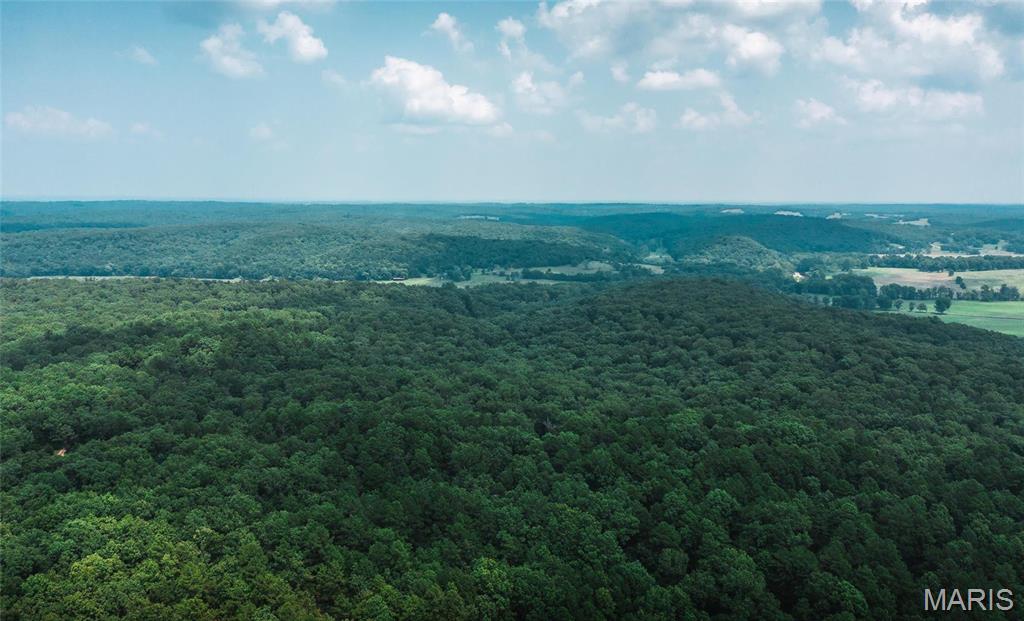 2 Cedar Ford Road Cook Sta, MO 65449 - Photo 3 of 49