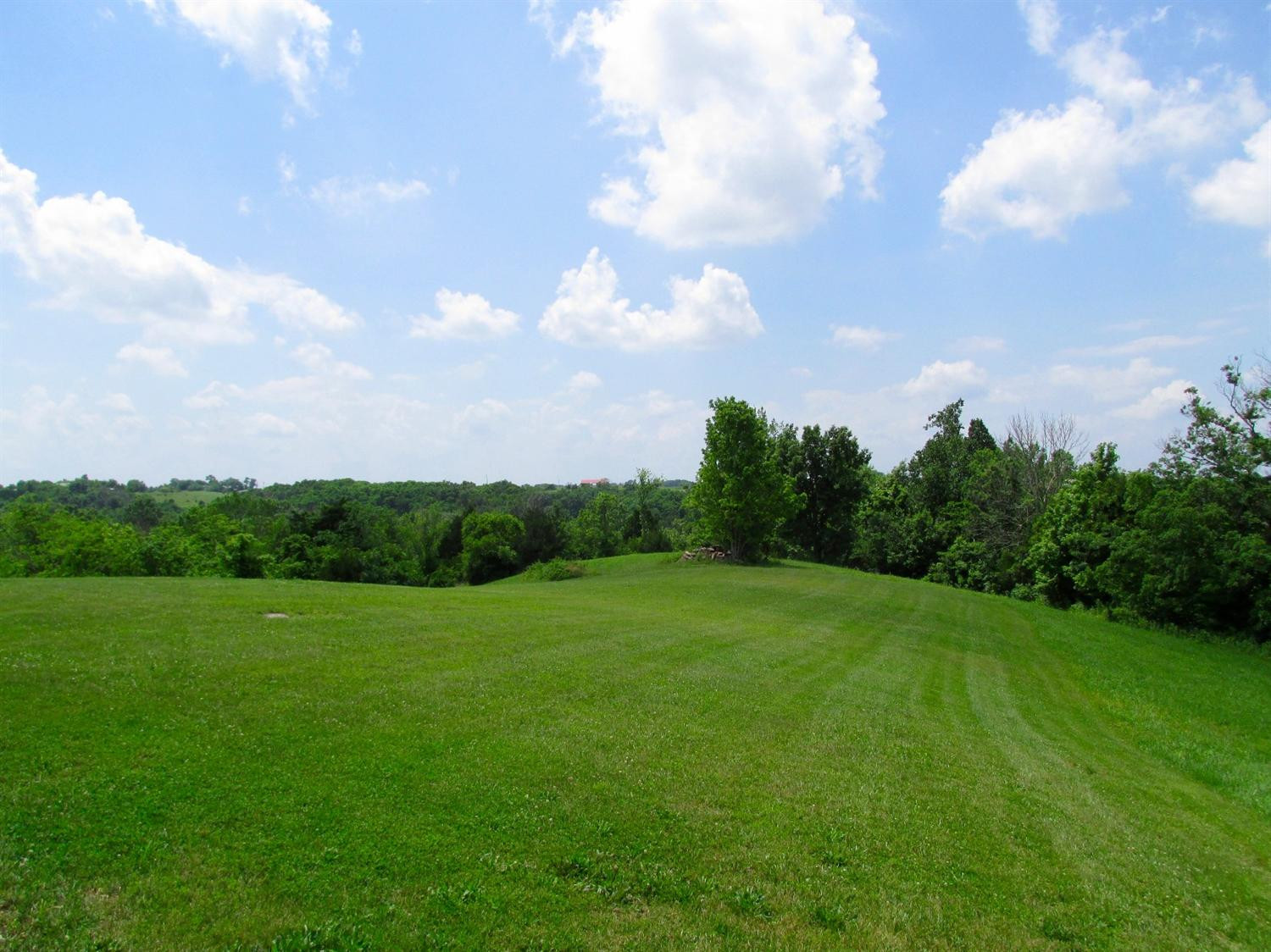 430 Mason Road Williamstown, KY 41097 - Photo 5 of 30 Gallery Image 5