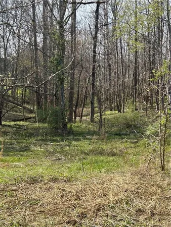a view of a yard