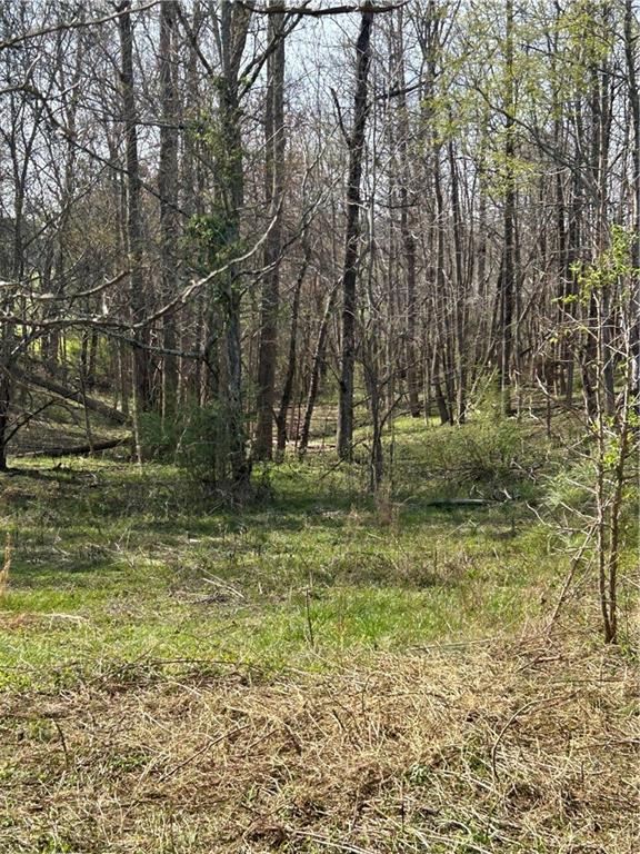 0 Browning Road Fairmount, GA 30139 - Photo 1 of 12 a view of a yard