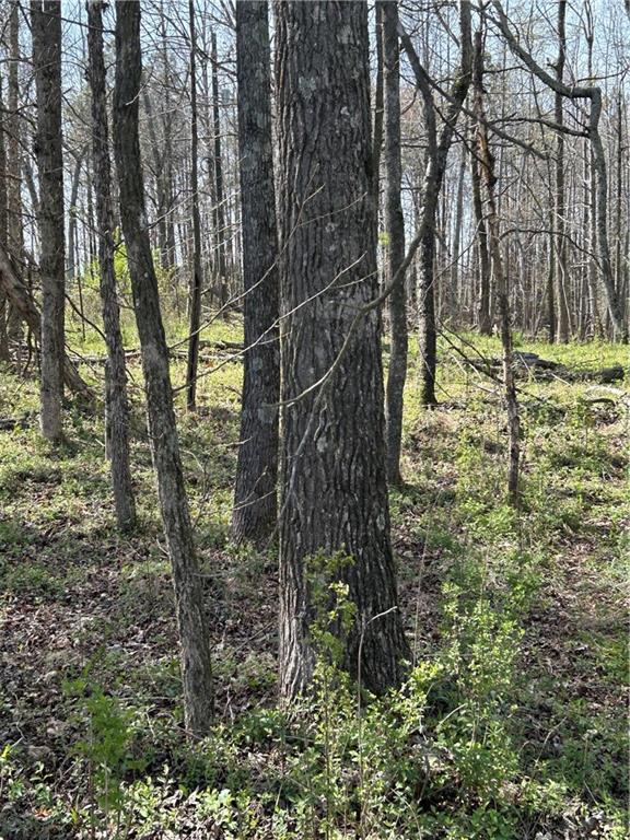 0 Browning Road Fairmount, GA 30139 - Photo 2 of 12 a backyard of a building with lots of trees