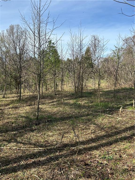 0 Browning Road Fairmount, GA 30139 - Photo 3 of 12 a backyard of a house with lots of green space