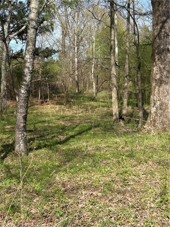 0 Browning Road Fairmount, GA 30139 - Photo 5 of 12 a view of a yard with large trees