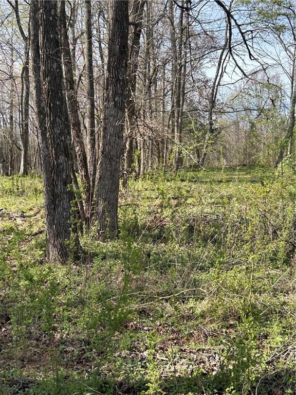 0 Browning Road Fairmount, GA 30139 - Photo 6 of 12 a view of a yard with large trees