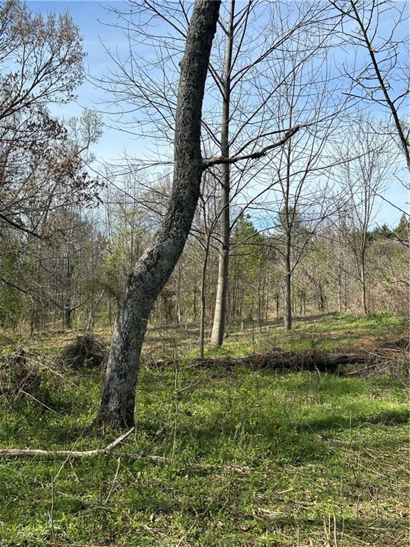 0 Browning Road Fairmount, GA 30139 - Photo 9 of 12 a view of backyard with tree