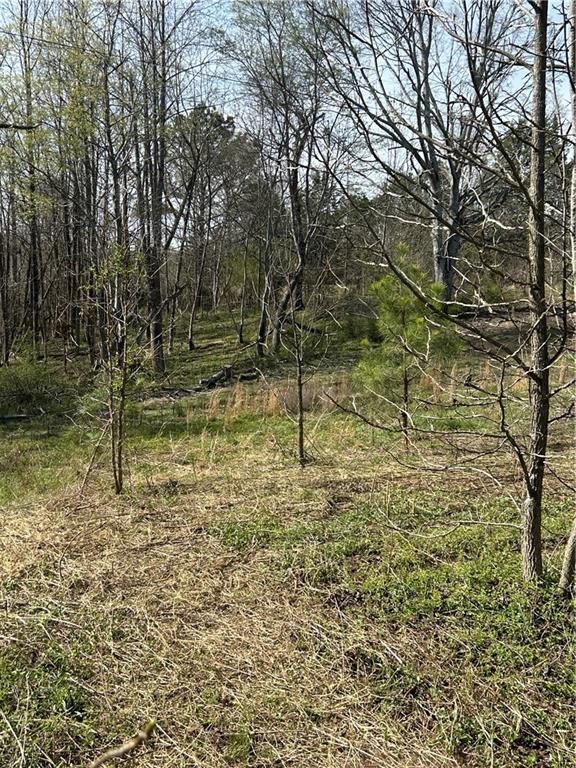 0 Browning Road Fairmount, GA 30139 - Photo 10 of 12 a view of backyard with wooden fence